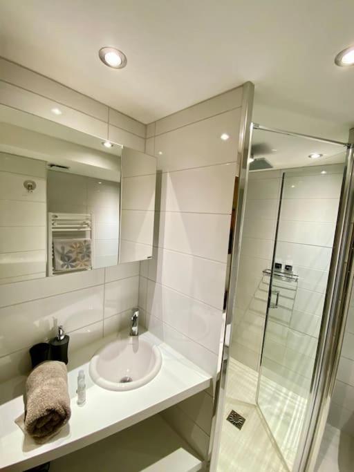 Androsace Appartement Dans Chalet Bois Avec Jacuzzi Privatif Terrasse Et Vue Montagne Les Villards-sur-Thônes Eksteriør billede