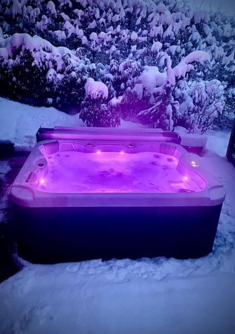 Androsace Appartement Dans Chalet Bois Avec Jacuzzi Privatif Terrasse Et Vue Montagne Les Villards-sur-Thônes Eksteriør billede